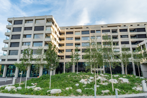 Nouvelle construction Immeuble de grande hauteur Basilisk