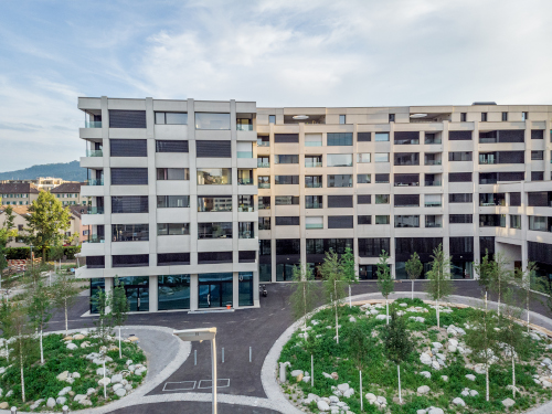 Nouvelle construction Immeuble de grande hauteur Basilisk